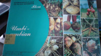 Image of Umbi-Umbian