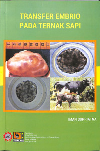 Image of Transfer Embrio Pada Ternak Sapi